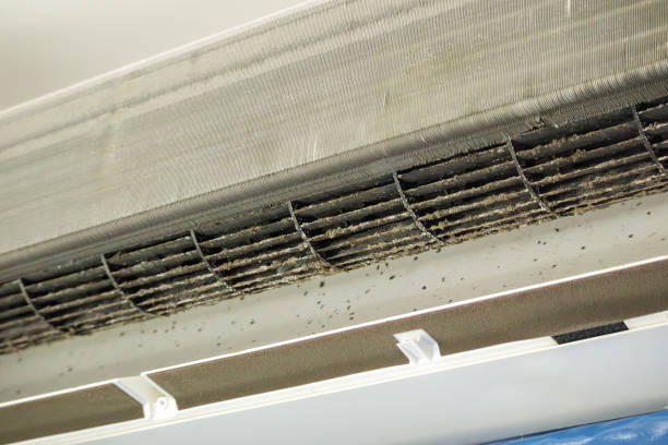 Best Air Duct Cleaning Near Me  in Mountain Lake Park, MD